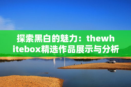 探索黑白的魅力：thewhitebox精选作品展示与分析