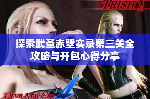 探索武圣赤壁实录第三关全攻略与开包心得分享