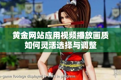 黄金网站应用视频播放画质如何灵活选择与调整