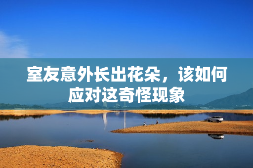 室友意外长出花朵，该如何应对这奇怪现象