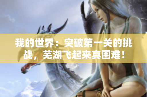 我的世界：突破第一关的挑战，芜湖飞起来真困难！
