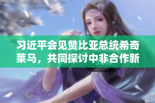 习近平会见赞比亚总统希奇莱马，共同探讨中非合作新机遇