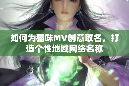 如何为猫咪MV创意取名，打造个性地域网络名称