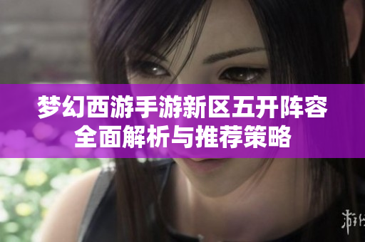 梦幻西游手游新区五开阵容全面解析与推荐策略