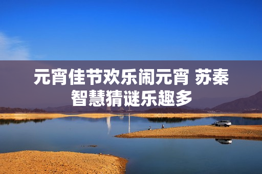 元宵佳节欢乐闹元宵 苏秦智慧猜谜乐趣多
