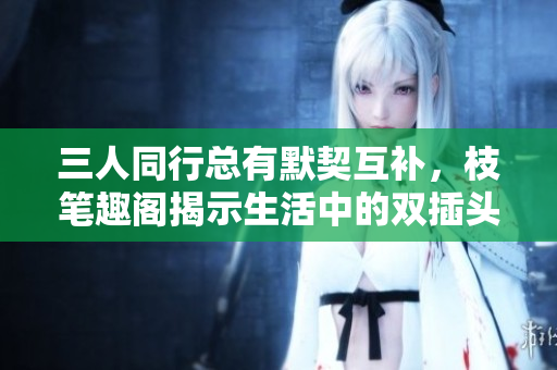 三人同行总有默契互补，枝笔趣阁揭示生活中的双插头之道