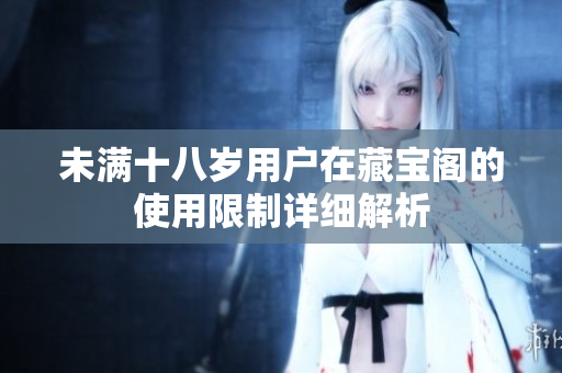 未满十八岁用户在藏宝阁的使用限制详细解析