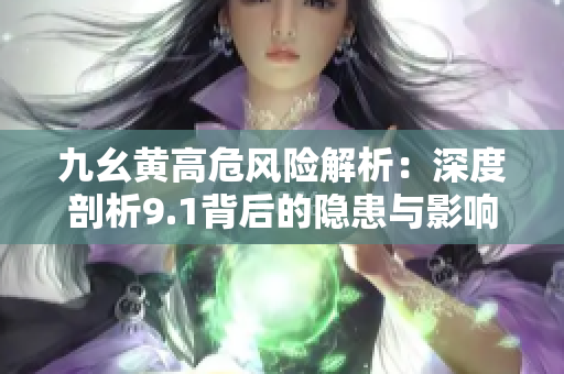 九幺黄高危风险解析：深度剖析9.1背后的隐患与影响