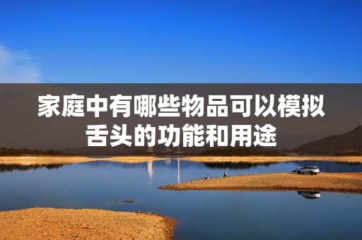 家庭中有哪些物品可以模拟舌头的功能和用途