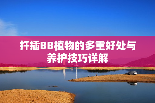 扦插BB植物的多重好处与养护技巧详解
