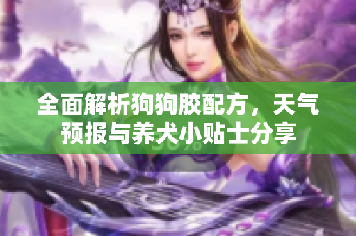 全面解析狗狗胶配方，天气预报与养犬小贴士分享