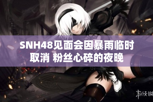 SNH48见面会因暴雨临时取消 粉丝心碎的夜晚