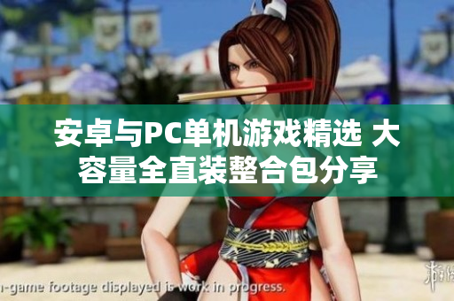 安卓与PC单机游戏精选 大容量全直装整合包分享