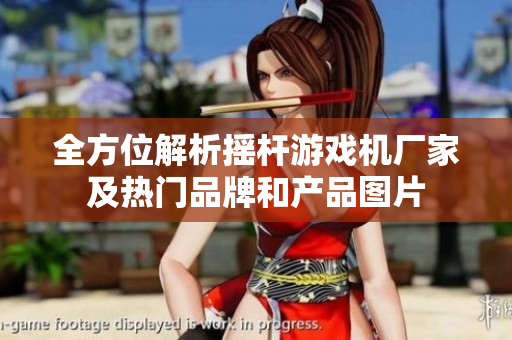 全方位解析摇杆游戏机厂家及热门品牌和产品图片