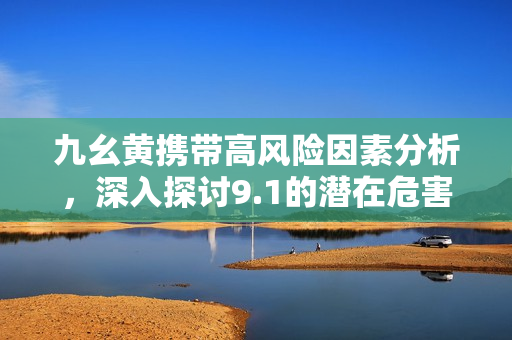 九幺黄携带高风险因素分析，深入探讨9.1的潜在危害