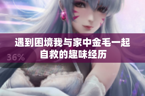 遇到困境我与家中金毛一起自救的趣味经历