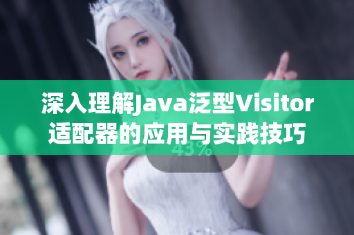 深入理解Java泛型Visitor适配器的应用与实践技巧