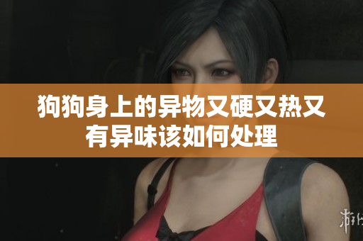狗狗身上的异物又硬又热又有异味该如何处理