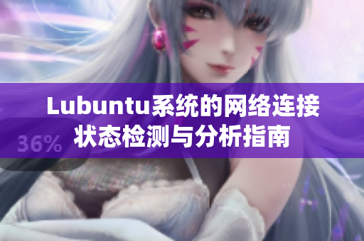 Lubuntu系统的网络连接状态检测与分析指南