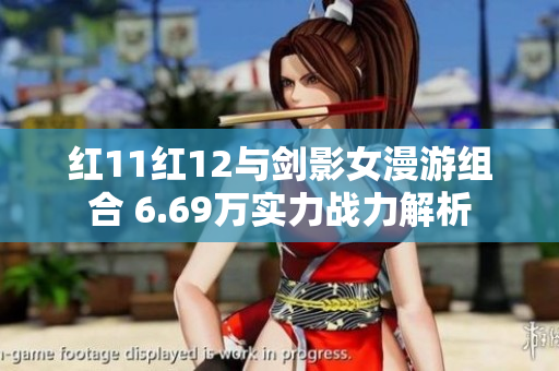 红11红12与剑影女漫游组合 6.69万实力战力解析