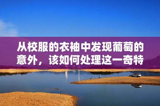 从校服的衣袖中发现葡萄的意外，该如何处理这一奇特发现