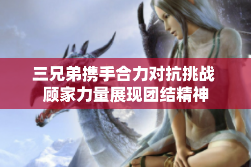 三兄弟携手合力对抗挑战 顾家力量展现团结精神