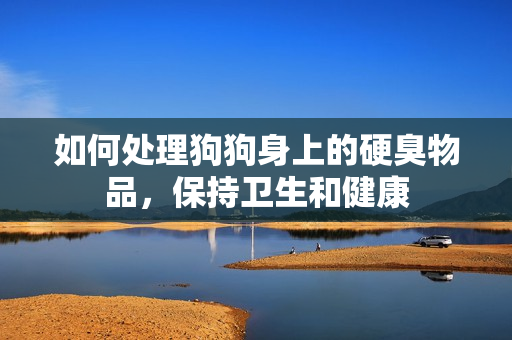如何处理狗狗身上的硬臭物品，保持卫生和健康