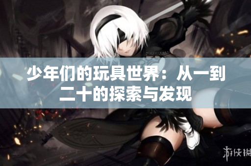 少年们的玩具世界：从一到二十的探索与发现