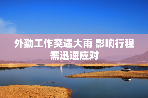 外勤工作突遇大雨 影响行程需迅速应对