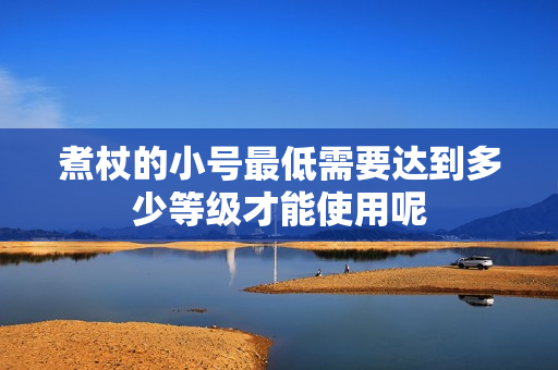 煮杖的小号最低需要达到多少等级才能使用呢