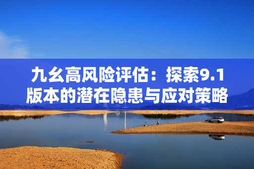 九幺高风险评估：探索9.1版本的潜在隐患与应对策略