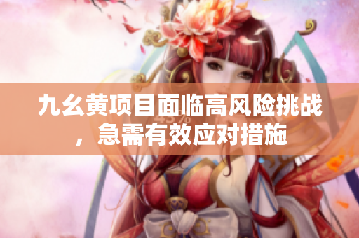 九幺黄项目面临高风险挑战，急需有效应对措施