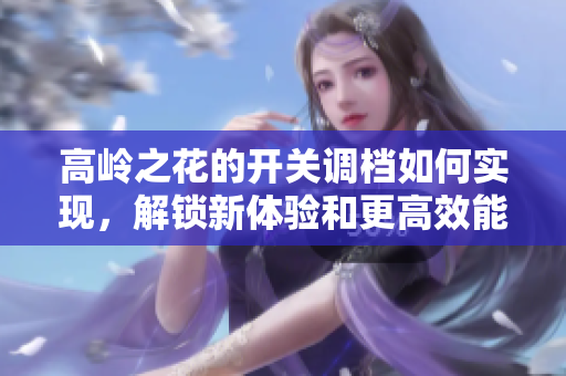 高岭之花的开关调档如何实现，解锁新体验和更高效能