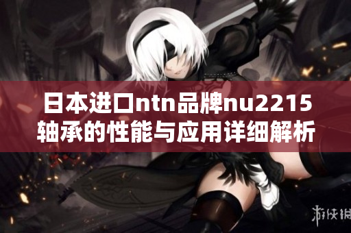 日本进口ntn品牌nu2215轴承的性能与应用详细解析