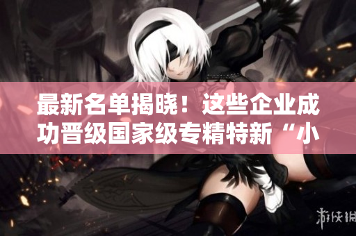 最新名单揭晓！这些企业成功晋级国家级专精特新“小巨人”称号