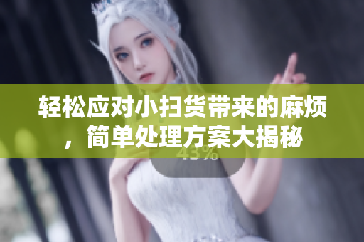轻松应对小扫货带来的麻烦，简单处理方案大揭秘