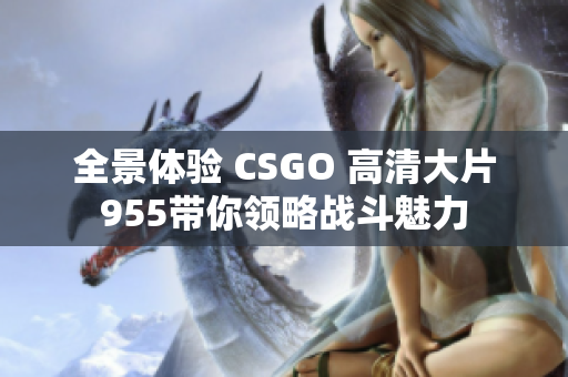 全景体验 CSGO 高清大片955带你领略战斗魅力