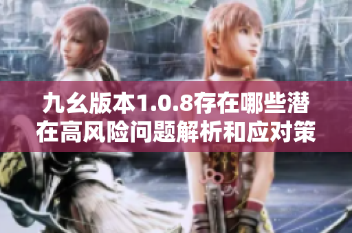 九幺版本1.0.8存在哪些潜在高风险问题解析和应对策略