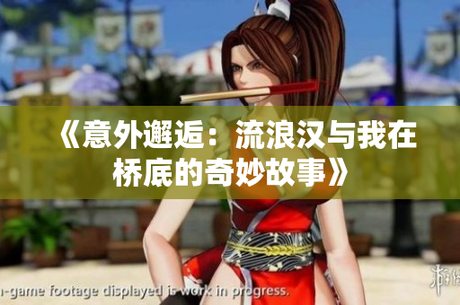 《意外邂逅：流浪汉与我在桥底的奇妙故事》