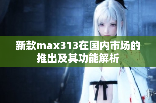 新款max313在国内市场的推出及其功能解析