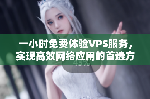 一小时免费体验VPS服务，实现高效网络应用的首选方案