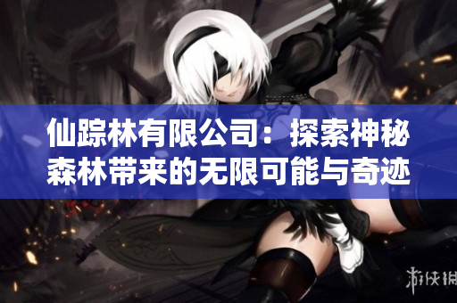 仙踪林有限公司：探索神秘森林带来的无限可能与奇迹