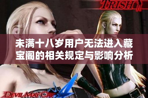 未满十八岁用户无法进入藏宝阁的相关规定与影响分析