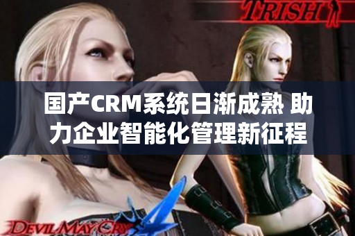 国产CRM系统日渐成熟 助力企业智能化管理新征程