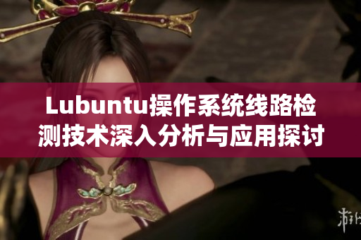 Lubuntu操作系统线路检测技术深入分析与应用探讨