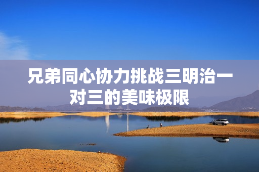 兄弟同心协力挑战三明治一对三的美味极限
