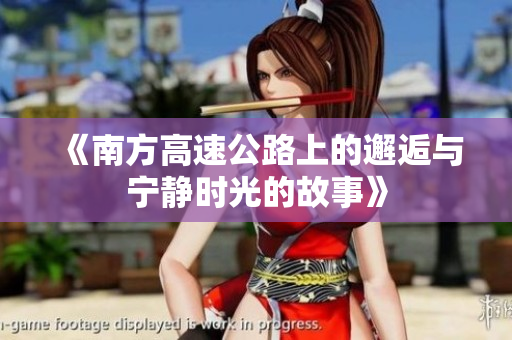 《南方高速公路上的邂逅与宁静时光的故事》