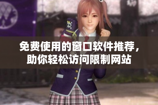免费使用的窗口软件推荐，助你轻松访问限制网站