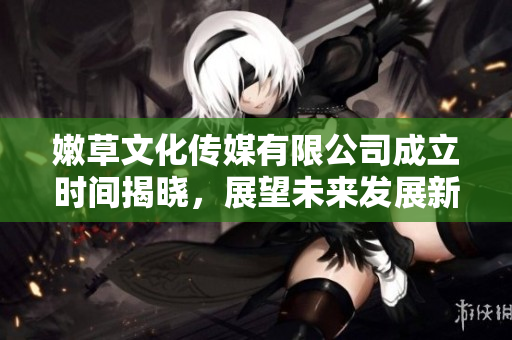 嫩草文化传媒有限公司成立时间揭晓，展望未来发展新机遇