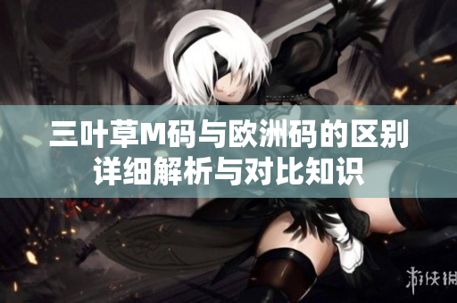 三叶草M码与欧洲码的区别详细解析与对比知识
